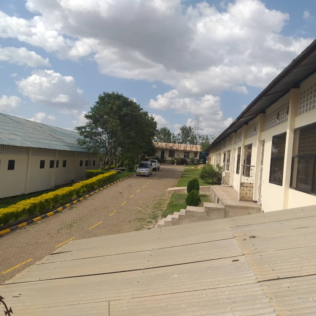 colleges in arusha